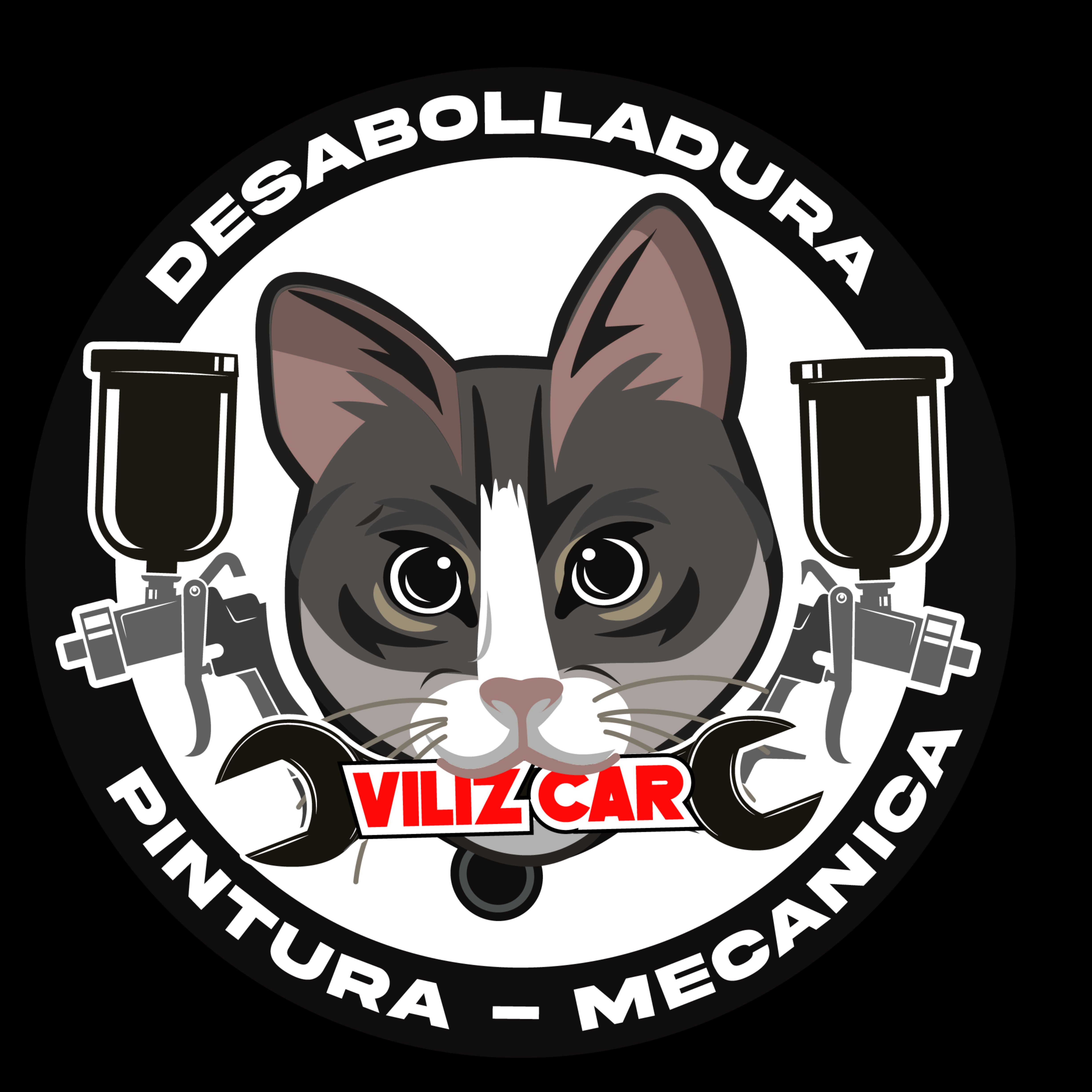 Viliz Car